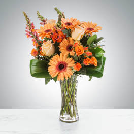 Tall glass vase with orange gerbera daisies, roses, spray roses, and snapdragons arranged with large folded leaves
