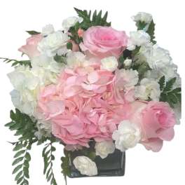 Pink roses and white hydrangeas in a square glass vase