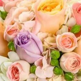 Pastel roses in pink, peach, lavender, and white