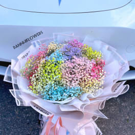 Large bouquet of multicolored baby's breath wrapped in white paper