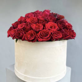 Red roses arranged in a white round box