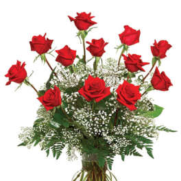 Tall arrangement of long-stemmed red roses with white filler flowers in a clear glass vase.