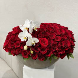 100 Red Roses in a concrete vase