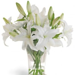 White lilies in a clear glass vase