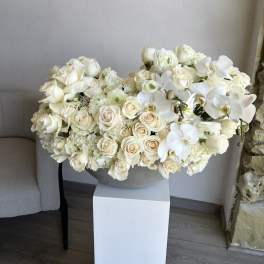 Classic White Flower Elegance