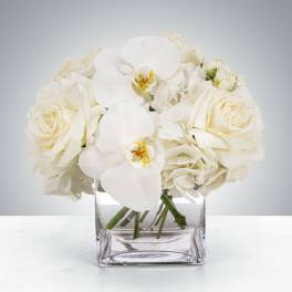 Low arrangement of white roses, hydrangeas, and orchids in a clear glass cube vase