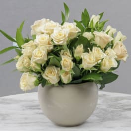 Cream rose bouquet in a round white vase