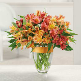 Orange and yellow alstroemeria arranged in a clear glass vase with an orange ribbon band