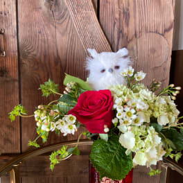 Red rose and white flowers with a small white owl plush in a red glass vase
