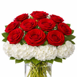 Red roses arranged above white hydrangeas in a clear glass vase.