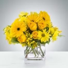 Low arrangement of bright yellow roses and daisies in a clear glass cube vase