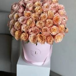 Classic Peach - 50 Shimmer roses in a box