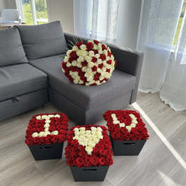Red and white rose arrangements in black boxes on a living room floor