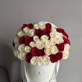 50 White and Red Roses