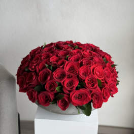 75 Red Roses in a Concreate Vase