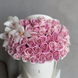Classic Pink - 50 Roses in a box