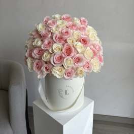 Pink and White 50 Roses
