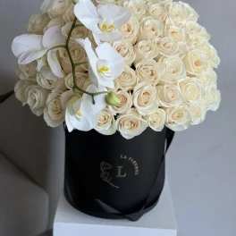 Classic White - 50 white roses in a box