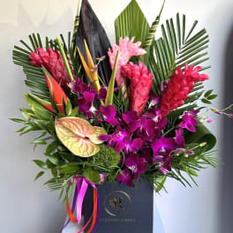Tall tropical arrangement with pink ginger, purple orchids, and anthuriums in a black box with ribbons