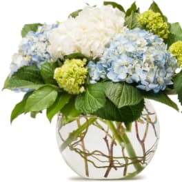 Blue and white hydrangea arrangement in a clear glass vase