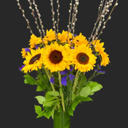 Sunflowers in a green vase with pussy willow branches