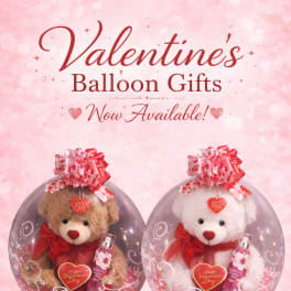 Two teddy bears in clear balloon gift boxes with Valentine decorations