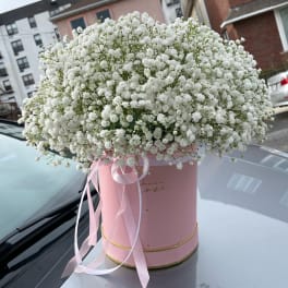 White baby's breath bouquet in a pink hat box with ribbon