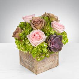 Compact arrangement of pink and taupe roses with green hydrangea and a succulent in a wooden cube vase