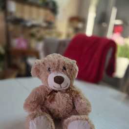 Small plush teddy bear with a ribbon sitting on a table