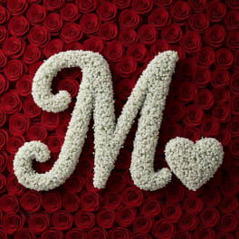Baby's Breath Letter - M