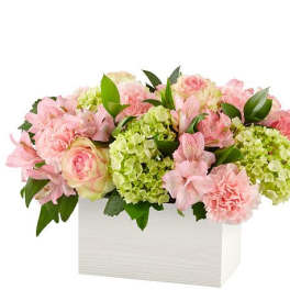 Pink flowers and green hydrangeas arranged in a white box