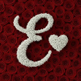 White floral ampersand and heart on a background of red roses
