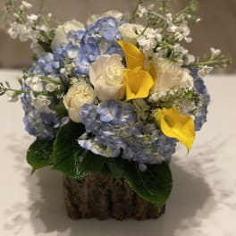Blue hydrangeas with white roses and yellow calla lilies in a bark-covered container