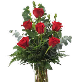 Tall arrangement of six red roses in a clear glass cylinder vase