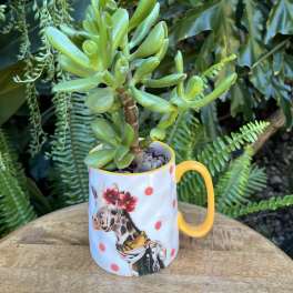 Potted succulent in a giraffe-print mug with a yellow handle