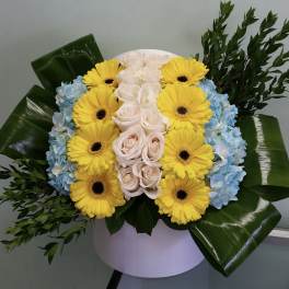 Bouquet of yellow gerbera daisies, white roses, and blue hydrangeas in a round box