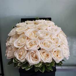 Cream rose bouquet in a black box with variegated leaves