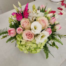 Round arrangement of blush roses, white blooms, pink tulips, and green hydrangeas with a pink butterfly pick