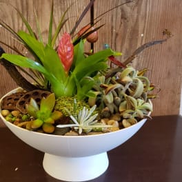 Modern white bowl planter with mixed succulents and a red flowering plant.