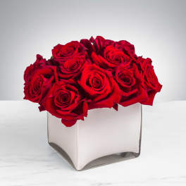 Low arrangement of red roses in a square white glass vase on a white surface