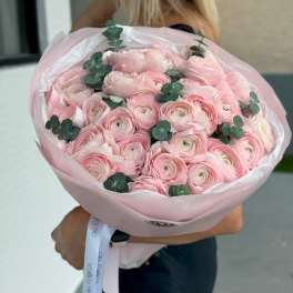 Bouquet of pale pink ranunculus wrapped in pink paper