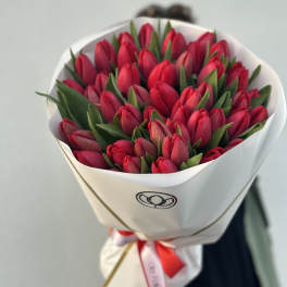 Bouquet of red tulips wrapped in white paper