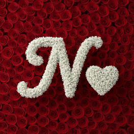 Baby's Breath Letter - N