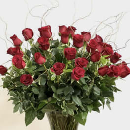 Four Dozen Red Roses