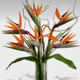Bird of paradise arrangement in a clear glass vase