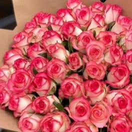 Bouquet of pink-and-white roses wrapped in brown paper