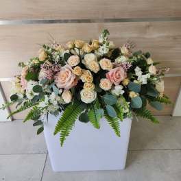 Low arrangement of peach and cream roses with white blooms and ferns in a white rectangular container