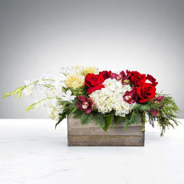 Low arrangement of red and cream roses, white hydrangeas, and orchids in a wooden box