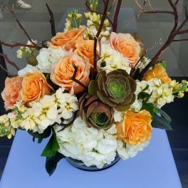 Peach roses, white hydrangeas, succulents, and branches arranged in a low glass vase.
