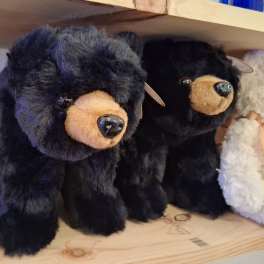 Plush teddy bears on a shelf, including black and brown bears